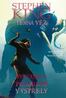 Temná věž 11 - Pistolník 6: Poslední výstřely - Peter David, Robin Furthová, Richard Isanove