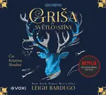 Griša - Světlo a stíny - audiokniha