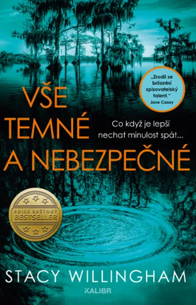 Vše temné a nebezpečné - Stacy Willingham - e-kniha