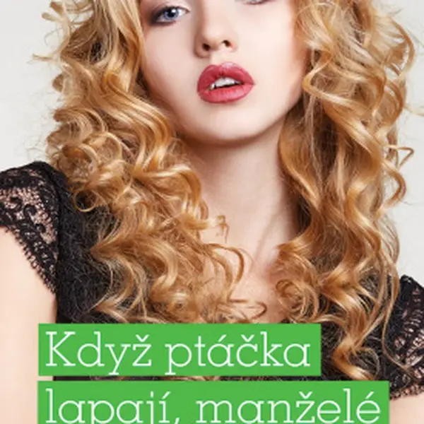 Když ptáčka lapají, manželé mu zpívají - Alena Jakoubková - e-kniha