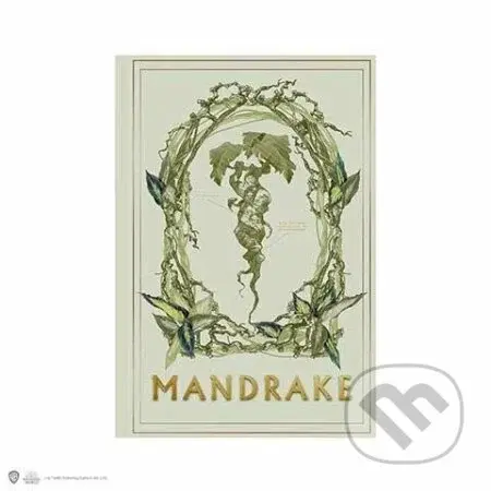 Harry Potter zápisník A5 - Mandragora