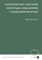 Zamyšlení nad africkými identitami zobrazenými v básnickém prostoru - kniha z kategorie Literární věda
