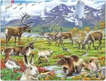 Arctic Land FH14 - puzzle z kategorie Naučné puzzle