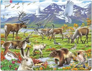 Arctic Land FH14 - puzzle z kategorie Naučné puzzle