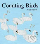 Counting Birds - Alice Melvin