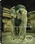 India - Andreas H. Bitesnich