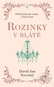 Rozinky v blátě (Dva tucty střepů) - Jan David Novotný - kniha z kategorie Beletrie