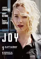 Joy - David O. Russell - film z kategorie Akční a dobrodružné