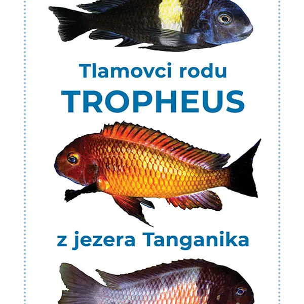 Kniha: Tlamovci rodu Tropheus z jezera Tanganika od Kraut Miroslav
