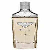 Bentley Infinite toaletní voda pro muže 100 ml