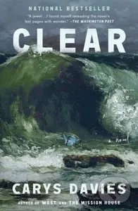 Clear (A Novel) - Davies Carys