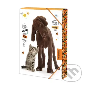 Box na sešity A4: Forever friends