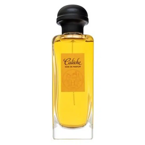 Hermes Caleche Soie De Parfum parfémovaná voda pre ženy 100 ml