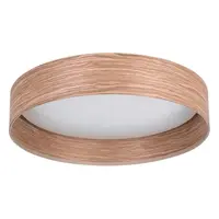 LED stropné osvetlenie Eglo LUPPINERIA 900463