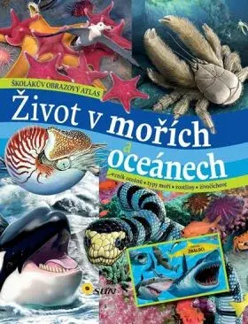 Život v mořích a oceánech (Defekt) - Carmen Rodríguez