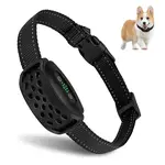 Reedog V2 | Protištěkací obojek