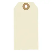 1000 x Papírové visačky 100 x 51 mm, béžové, Ø očka 5 mm, bez drátku