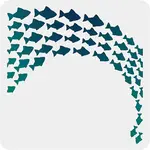 Plastic Reusable Drawing Painting Stencils Templates