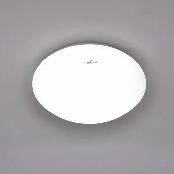 Stropní Leon Led Mvs 03529 12w 4000k Bila