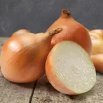 Cupido Cibuľa sadzačka, jarná žltá  250G 8-21MM