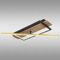 Stropné svietidlo Beatrix 67296D LED LS3