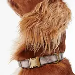 Obojky pre psov Barbour