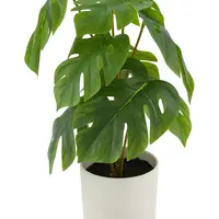 Umelá rastlina v kvetináči home & lifestyle 17 x 17 x 32 cm