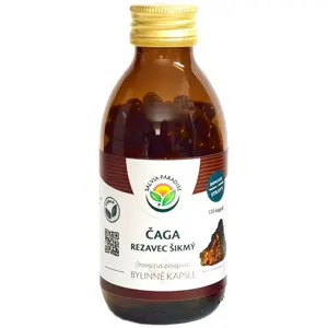 Salvia Paradise Čaga bylinné kapsle kapsle pro detoxikaci organismu a podporu imunity 120 cps