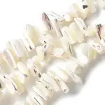 Dyed Natural Trochus Shell Beads Strands
