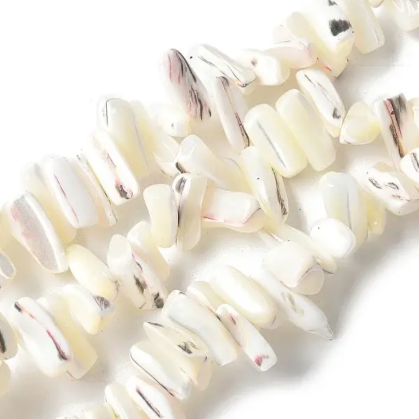 Dyed Natural Trochus Shell Beads Strands