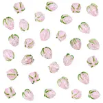 30Pcs Handmade Lampwork Beads