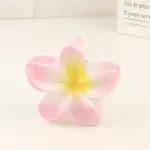 Plastic Claw Hair Clip