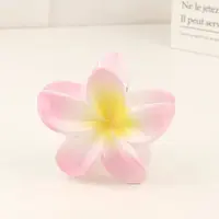 Plastic Claw Hair Clip