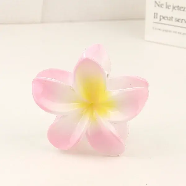 Plastic Claw Hair Clip