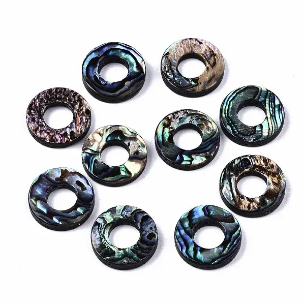 Natural Abalone Shell/Paua Shell Beads