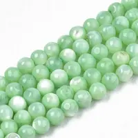 Natural Freshwater Shell Beads Strands