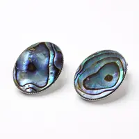 Natural Abalone Shell/Paua ShellOval Clip-on Earrings