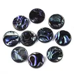 Natural Abalone Shell/Paua Shell Cabochons
