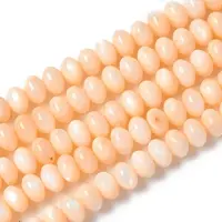 Natural Freshwater Shell Beads Strands