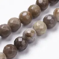 Natural Silver Leaf Jasper Beads Strands