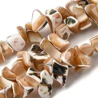 Natural Trochid Shell/Trochus Shell Beads Strands
