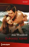 Dokonalý scénář - Joss Woodová - e-kniha
