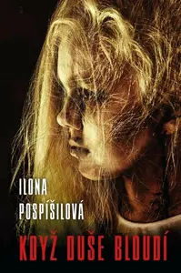 Když duše bloudí - Ilona Pospíšilová