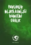 Pavlíkův nejkrásnější vánoční dárek - Petr Soukup