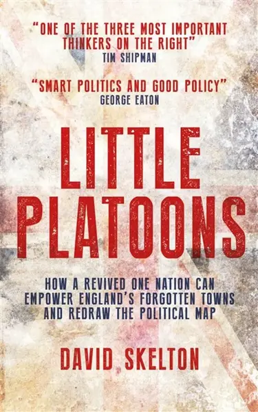 Little Platoons - David Skelton