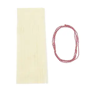 Paper Tassel Banner