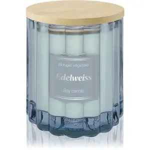 Esprit Provence Edelweiss vonná svíčka s víčkem 100 g