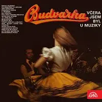 Budvarka – Včera jsem byl u muziky