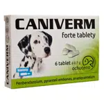 CANIVERM Forte 0,7 g 6 tablet