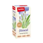 Apotheke Jitrocel čaj 20x1.5 g